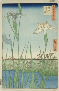 Irises at Horikiri (Horikiri no hanashobu), from the series One Hundred Famous Views of Edo (Meisho