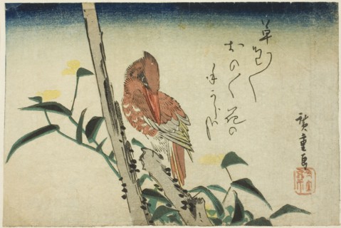 Kingfisher and dayflower, 1830s, Utagawa Hiroshige ?? ??, Japanese, 1797-1858, Japan, Color