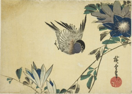 Bullfinch and clematis, 1830s, Utagawa Hiroshige ?? ??, Japanese, 1797-1858, Japan, Color woodblock
