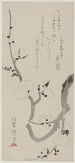 Plum Branch, late 18th century, Kitao Shigemasa, Japanese, 1739-1820, Japan, Color woodblock print,