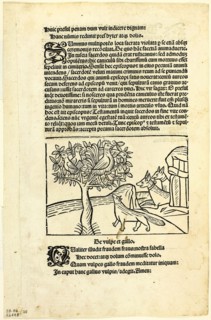 The Fox and the Rooster from Fabulae et Vita (Fables and Life), Plate 25 from Woodcuts from Books
