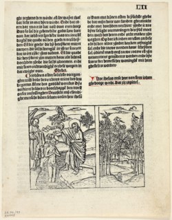 The Baptism of Christ and Forest Scene from Leven Christi (Life of Christ), Plate 43 from Woodcuts