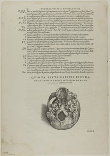 Leaf from De humani corporis fabrica (skull), plate 100 from Woodcuts from Books of the XVI