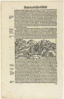 Illustration from Gemeiner loblicher Eydgnoschaft Chronick, plate 40 from Woodcuts from Books of