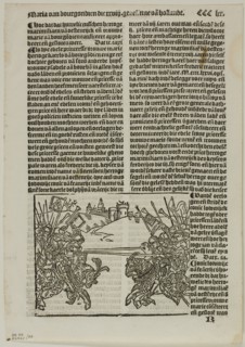 Illustration from Coronijke van Hollandt, plate 58 from Woodcuts from Books of the XVI Century,