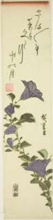 Chinese Bell Flowers, c. 1830s, Utagawa Hiroshige ?? ??, Japanese, 1797-1858, Japan, Color