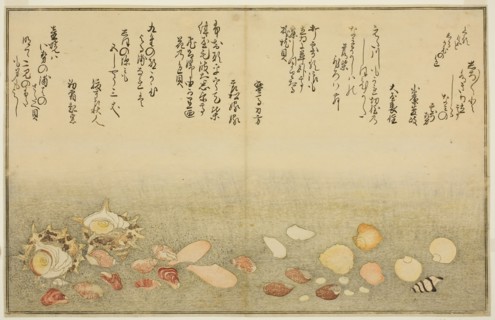 Shiro-gai, namima-gashiwa, makura-gai, iro-gai, aza-gai, sadae-gai, from the illustrated book Gifts
