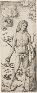 Adam, by 1522, Daniel Hopfer, I, German, 1470-1536, Germany, Etching in black on cream laid paper,