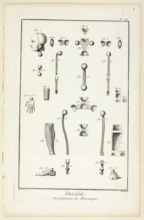 Design: Mannequin Parts, from Encyclopédie, 1762/77, A. J. Defehrt (French, active 18th century),