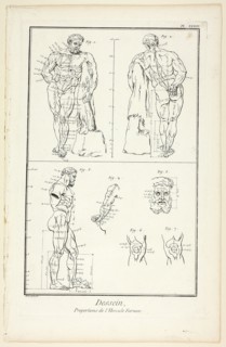 Design: Proportions of the Farnese Hercules, from Encyclopédie, 1762/77, Benoît-Louis Prévost
