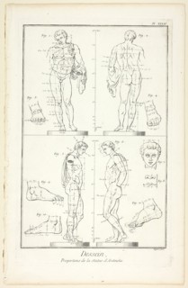 Design: Proportions of the Antinoüs Statue, from Encyclopédie, 1762/77, A. J. Defehrt (French,