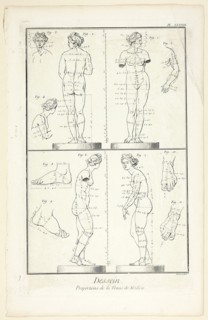 Design: Proportions of the Medici Venus, from Encyclopédie, 1762/77, Benoît-Louis Prévost (French,