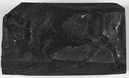 Woodblock for The Urus or Wild Bull, from A General History of Quadrupeds, c. 1790, Thomas Bewick,