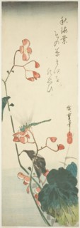 Dragonfly and begonia, 1830s, Utagawa Hiroshige ?? ??, Japanese, 1797-1858, Japan, Color woodblock