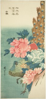 Peacock and peonies, 1830s, Utagawa Hiroshige ?? ??, Japanese, 1797-1858, Japan, Color woodblock