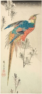A Golden Pheasant Perched on a Steep Snowy Hillside amid Small Pine Saplings, c. 1833, Utagawa