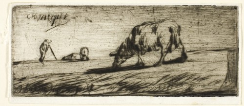A Sheep Grazing, 1849, Jean François Millet (French, 1814-1875), printed by Auguste Delâtre