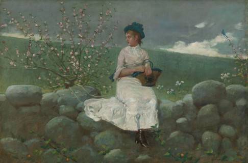 Peach Blossoms, 1878, Winslow Homer, American, 1836–1910, United States, Oil on canvas, 33.7 × 49