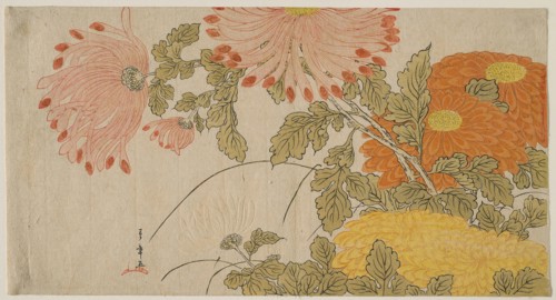 Chrysanthemums, early 1780s, Katsukawa Shunsho ?? ??, Japanese, 1726-1792, Japan, Color woodblock