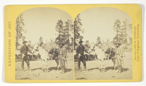 Mountain transportation. Pack mule, Pack and Packers, 1871, Timothy O’Sullivan (American, born