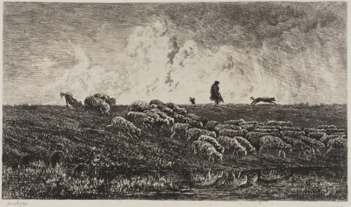 The Shower, c. 1851, Charles François Daubigny, French, 1817-1878, France, Etching on light gray