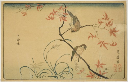 Society Finches (Jushimatsu), 1790s, Kitao Masayoshi (Kuwagata Keisai), Japanese, 1764–1824, Japan,