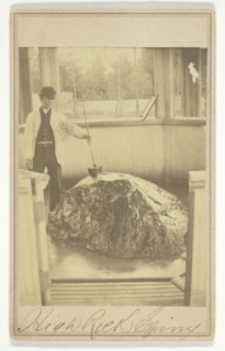 High Rock Spring, c. 1865, Deloss Barnum, American, active 1850–1870, Saratoga Springs, Albumen