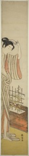 Beauty and Morning Glories, n.d., Suzuki Harunobu ?? ??, Japanese, 1725 (?)-1770, Japan, Color