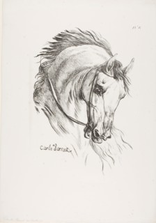 Detail of Horse’s Head, Enlarged to Triple Size, Hussard, Royal Guard, No. 6, c. 1818, Carle Vernet