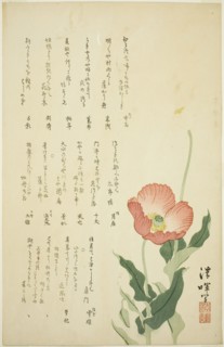 Two Poppies, c. early 1820s, Yokoyama Seiki, Japanese, 1793-1865, Japan, Color woodblock print,