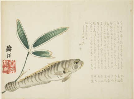 Fish and Bamboo, 1860s, Maezawa Otei, Japanese, 1827-?, Japan, Color woodblock print, surimono, 24