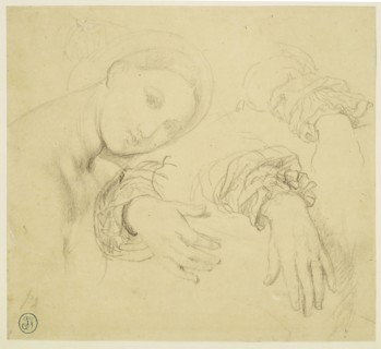 Sheet of Studies with the Head of the Fornarina and Hands of Madame de Senonnes, 1814/16,