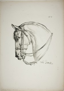 Detail of Horse’s Head, Enlarged to Triple Size, Norman Royal Guard, No. 2, c. 1818, Carle Vernet