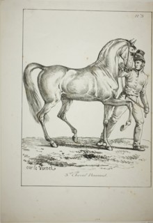 Royal Guard, Norman Cavalier, not in Full Dress, and Horse, No. 3, c. 1818, Carle Vernet (French,