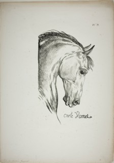 Detail of Horse’s Head, Enlarged to Triple Size, Norman Royal Guard, No. 3, c. 1818, Carle Vernet