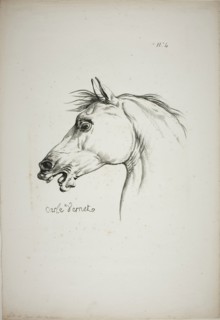 Detail of Horse’s Head, Enlarged to Triple Size, Norman Royal Guard, No. 4, c. 1818, Carle Vernet