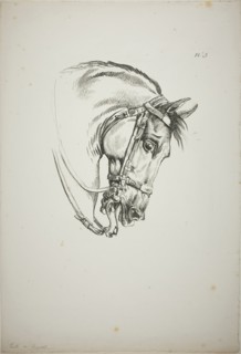 Detail of Horse’s Head, Enlarged to Triple Size, Norman Royal Guard, No. 5, First Limoges Horse, c.