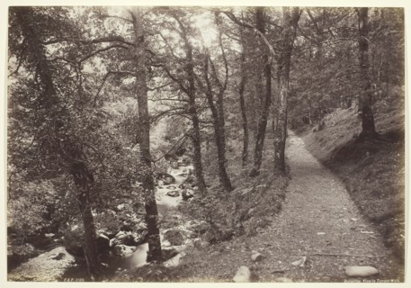 Dolgelley, View in Torrent Walk, 1860/94, Francis Bedford, English, 1816–1894, England, Albumen