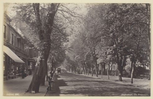 Cheltenham, the Promenade, 1860/94, Francis Bedford, English, 1816–1894, England, Albumen print, 12