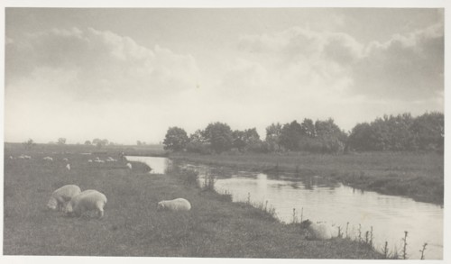 On the River Bure, 1886, Peter Henry Emerson, English, born Cuba, 1856–1936, England, Platinum