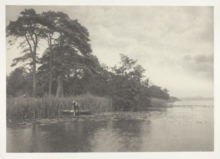 The Haunt of the Pike, 1886, Peter Henry Emerson, English, born Cuba, 1856–1936, England, Platinum