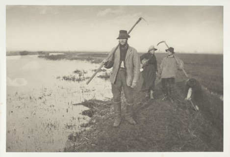 Coming Home from the Marshes, 1886, Peter Henry Emerson, English, born Cuba, 1856–1936, England,