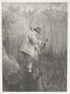A Reed-Cutter at Work, 1886, Peter Henry Emerson, English, born Cuba, 1856–1936, England, Platinum