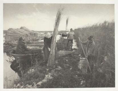 During the Reed Harvest, 1886, Peter Henry Emerson, English, born Cuba, 1856–1936, England,