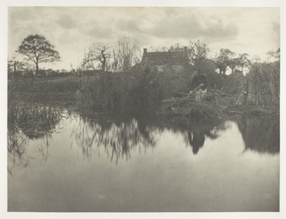 Quanting the Gladdon, 1886, Peter Henry Emerson, English, born Cuba, 1856–1936, England, Platinum