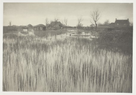A Rushy Shore, 1886, Peter Henry Emerson, English, born Cuba, 1856–1936, England, Platinum print,