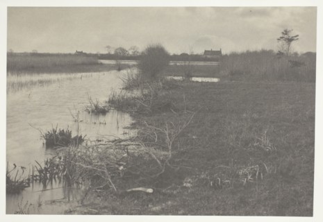 An Autumn Morning, 1886, Peter Henry Emerson, English, born Cuba, 1856–1936, England, Platinum