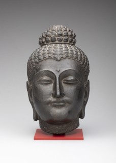 Head of Buddha, Kushan period, 2nd/3rd century, Pakistan, Ancient region of Gandhara, Gandhara,