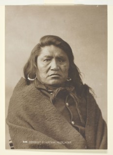 Deaf Bull, c. 1880, Laton Alton Huffman, American, 1854–1931, United States, Gelatin silver print,