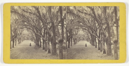 Bonaventure, 1860/80, J. N. Wilson, American, 1827–1897, United States, Albumen print, stereo, 7.6